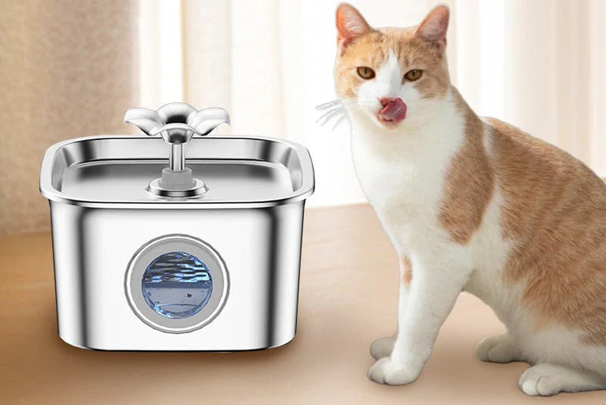 DOG WATER BOWL COLLECTION