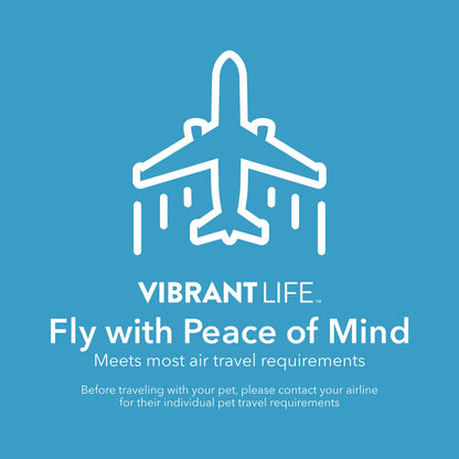 Portable Dog Kennel - Durable Hard-Sided Travel Carrier with Metal Door, Black & Grey, for Pets up to 10 lbs (19" L x 12.3" W x 10.8" H)