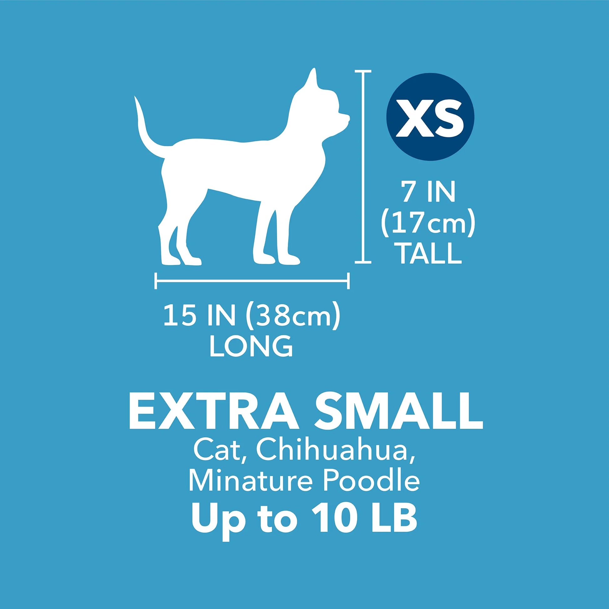 Portable Dog Kennel - Durable Hard-Sided Travel Carrier with Metal Door, Black & Grey, for Pets up to 10 lbs (19" L x 12.3" W x 10.8" H)