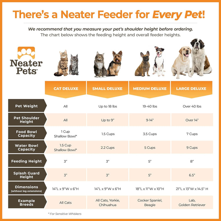 Neater Feeder Deluxe Mess Proof Dog Bowls Elevated for Small Dogs under 19 Lbs, Made in USA, No Spill Raised Dog Food Bowl Stand Feeding Station, Food and Water Bowl Set, Grey