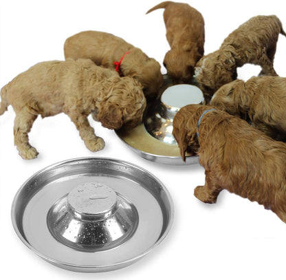 Premium Stainless Steel Puppy Dog Bowls - 2 Pack, 11.8 Inch Feeding Dishes for Food and Water
