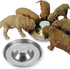 Premium Stainless Steel Puppy Dog Bowls - 2 Pack, 11.8 Inch Feeding Dishes for Food and Water