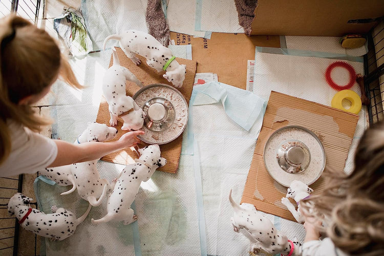 Premium Stainless Steel Puppy Dog Bowls - 2 Pack, 11.8 Inch Feeding Dishes for Food and Water