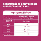 Proactive Health Adult Urinary Tract Healthy Dry Cat Food with Chicken, 16 Lb. Bag