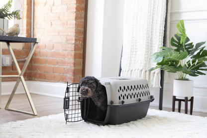 Portable Dog Kennel - Durable Hard-Sided Travel Carrier with Metal Door, Black & Grey, for Pets up to 10 lbs (19" L x 12.3" W x 10.8" H)