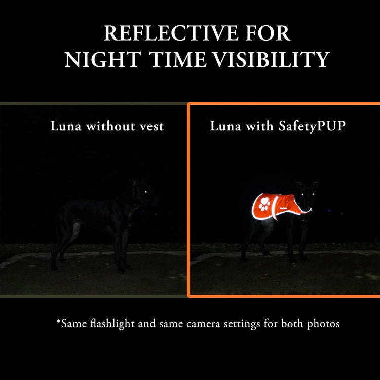 Urban Dog Reflective Vest M Size Our Fluorescent Hi Visibility Dog Jacket In